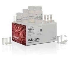 pure link rna mini kit|PureLink™ RNA Mini Kit Quick Reference .